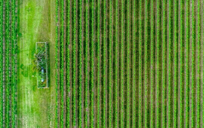 Fiches de données sécurité